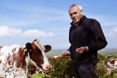 Patrick Holden and cows