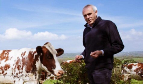 Patrick Holden and cows