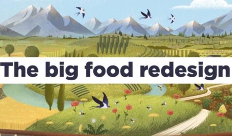 The big food redesign