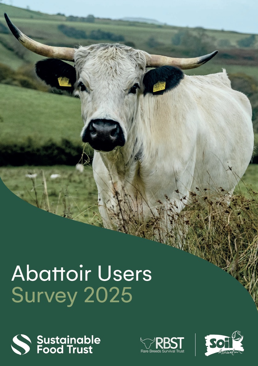 abattoir survey report