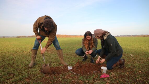 Soil sampling in field