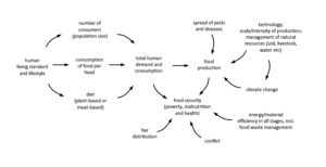 Human Food System diagram 2