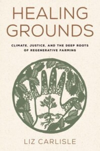 Healing Grounds Front cover