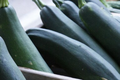 Farmers Market Courgettes