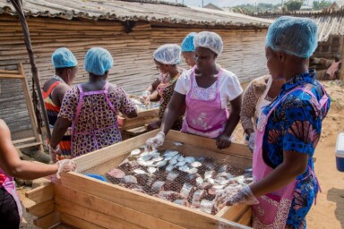 Women smoking fish in Ghana