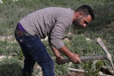 Khader planting trees