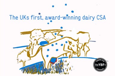 Stroud micro dairy logo