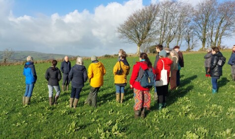 The Future of Sustainable Food and Farming in Wales: Thoughts from the WRFFC