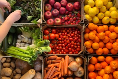 A selection of fruits and vegetables.