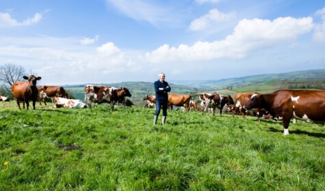 Patrick Holden surrounded by cows on Holden Farm Dairy.