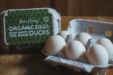 Parc Carreg organic duck eggs