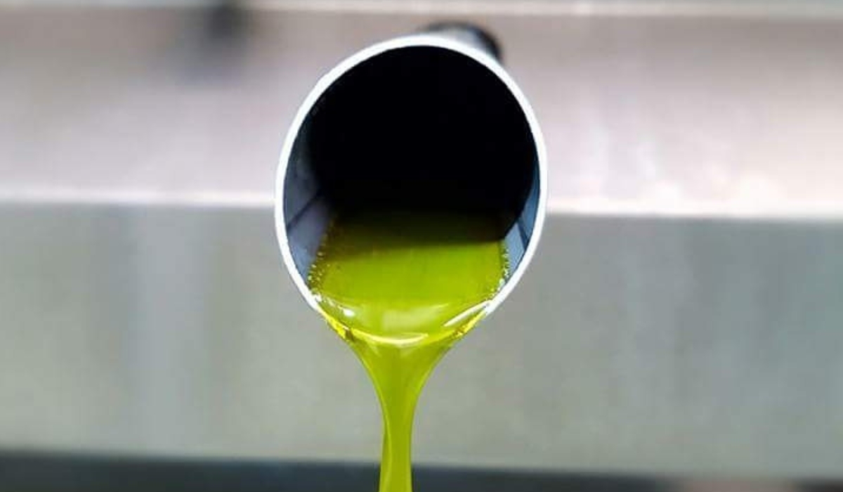 Credit: Nicolas Netien Caption: Olive oil from Atsas Organics in Cyprus contains the highest levels of nutritious polyphenols ever recorded.