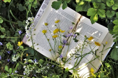 An open book lays against a pasture of grass and various flowers