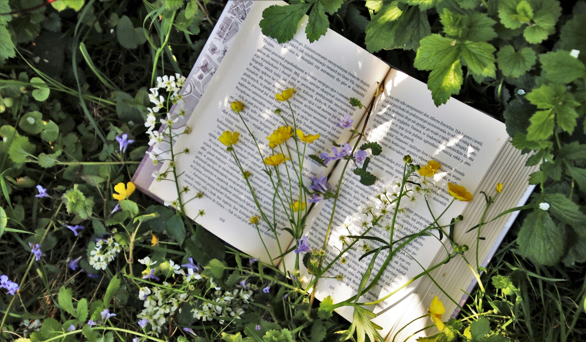 An open book lays against a pasture of grass and various flowers