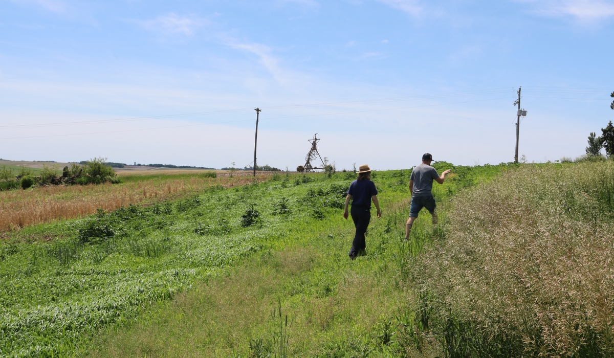 GFM farm trials, Nebraska