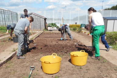 Inmates at HMP Swinfen Hall growing food outside
