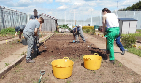 Inmates at HMP Swinfen Hall growing food outside