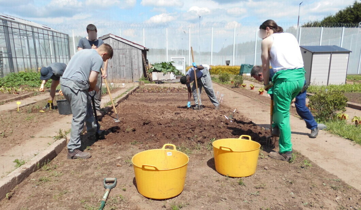 Inmates at HMP Swinfen Hall growing food outside