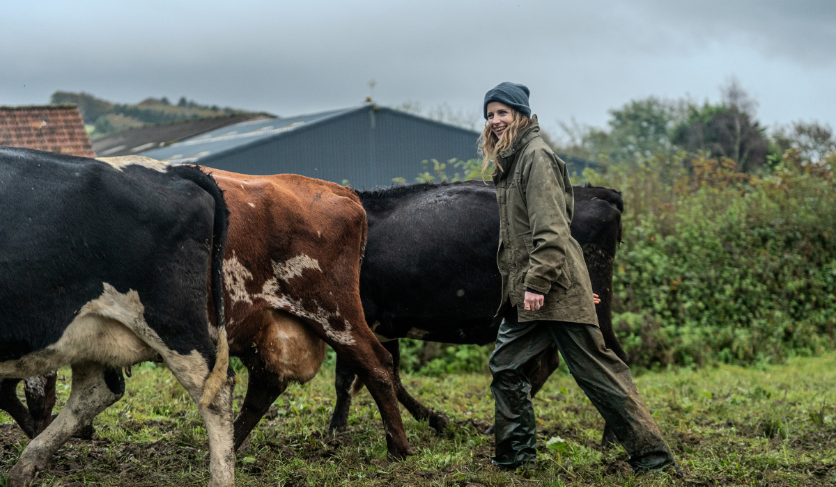 Sophie Gregory herding cows on Home Farm in Dorset