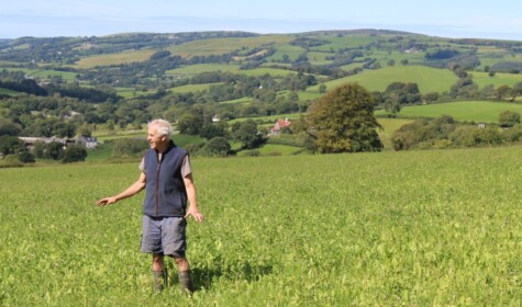 Patrick Holden stands alone in a grassy field amid a backdrop of farmland