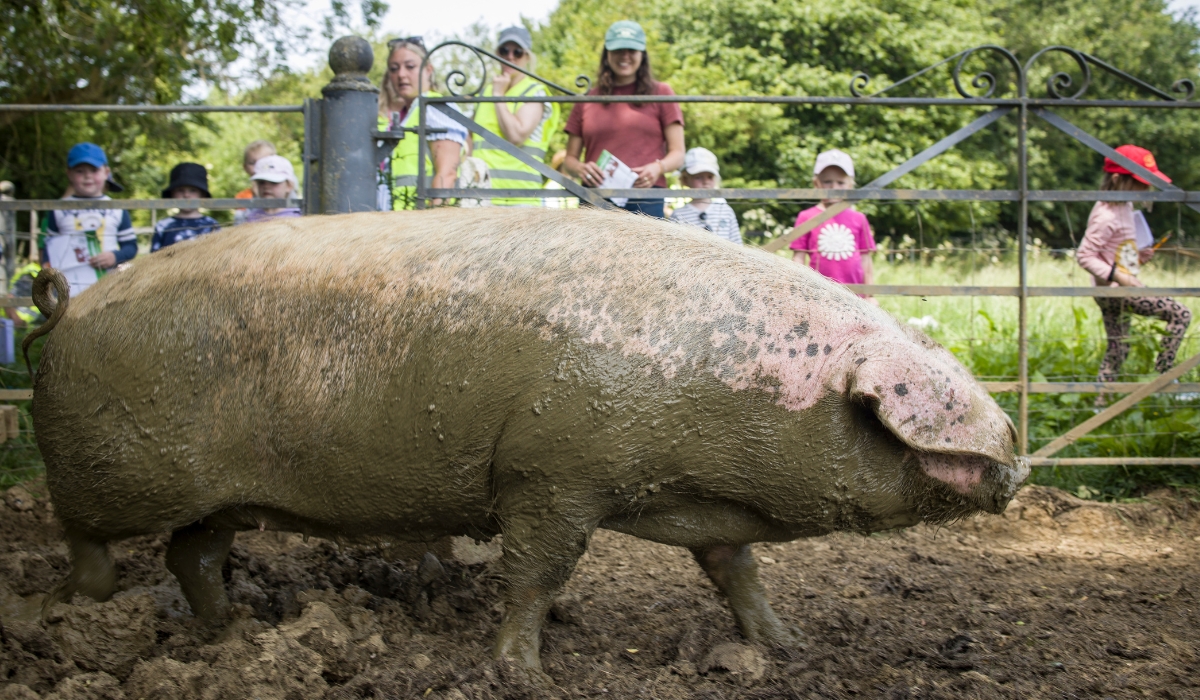 Little Rollright Farm