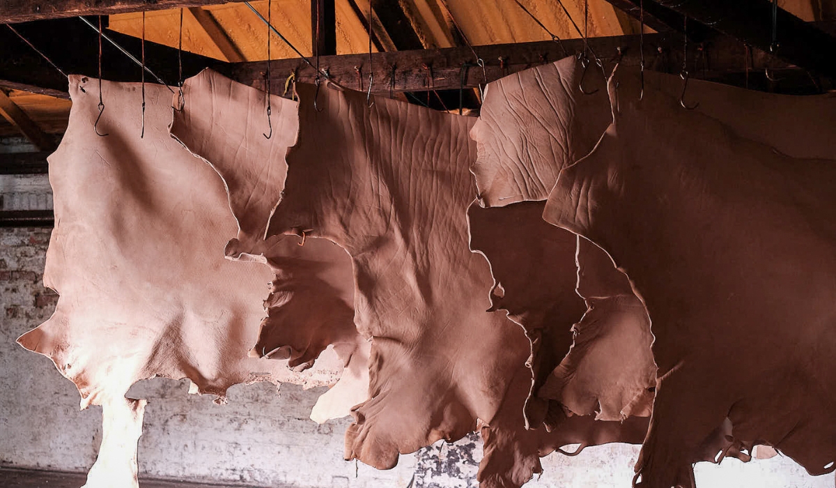 Leather drying hides (British Pasture Leather) Credit Jason Lowe