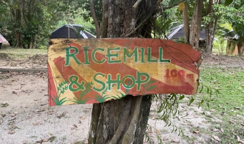 Sri Lovely Organic Farm by David McKenzie